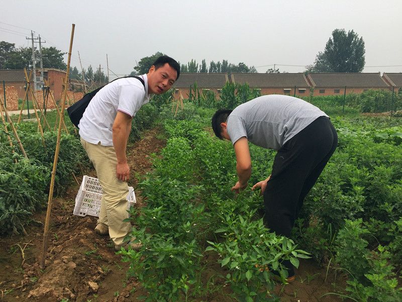 好利來郭總喊您來摘菜啦！綠色無公害，放心！
